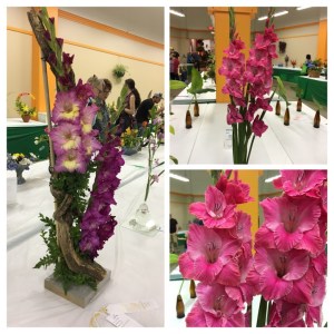 0469AE1B-23A8-4C2F-AC82-FE667AD92D4E-COLLAGE