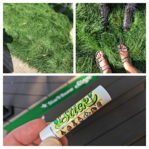 2C81D1F0-C14E-4285-A666-B195F9BFA173-COLLAGE