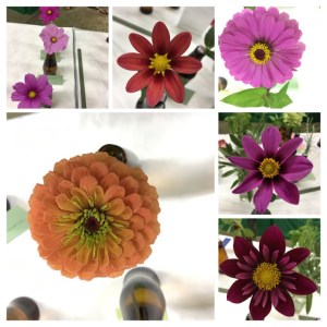 4B1516AD-955E-4456-8260-561BF5987DFD-COLLAGE