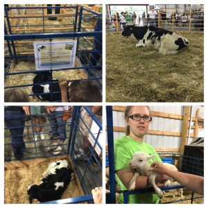 644A522F-CE36-4E59-9F7B-6B8BC2F0D820-COLLAGE