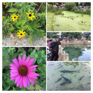 CA6D4AB4-4C85-4DED-BB9A-F3875D4FF741-COLLAGE