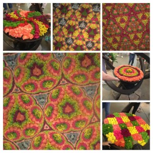 E9F07A11-BC1F-45AF-A6A2-AB8E2608AE35-COLLAGE