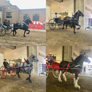 425b6ed1-c7df-4d6f-a07f-aa0435d1207d